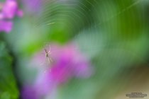 ADL_022273