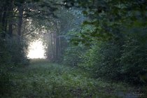 ADL_044436